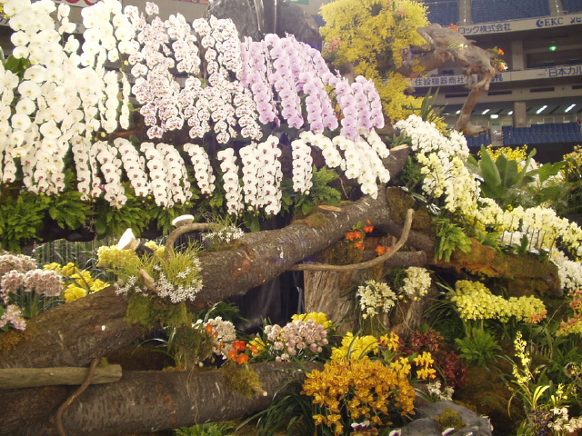 img0004.jpg
