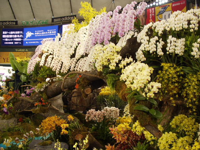 img0005.jpg