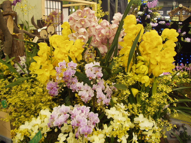 img0006.jpg