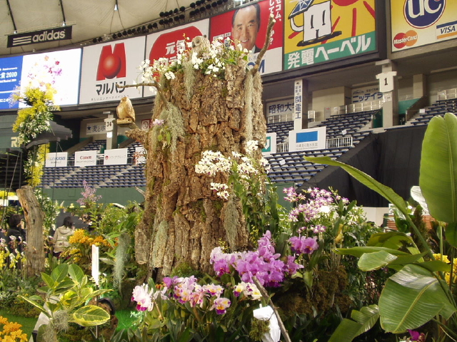 img0008.jpg