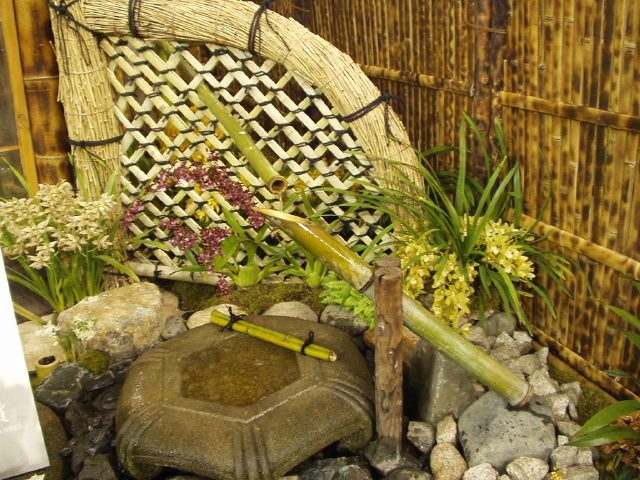 img0009.jpg