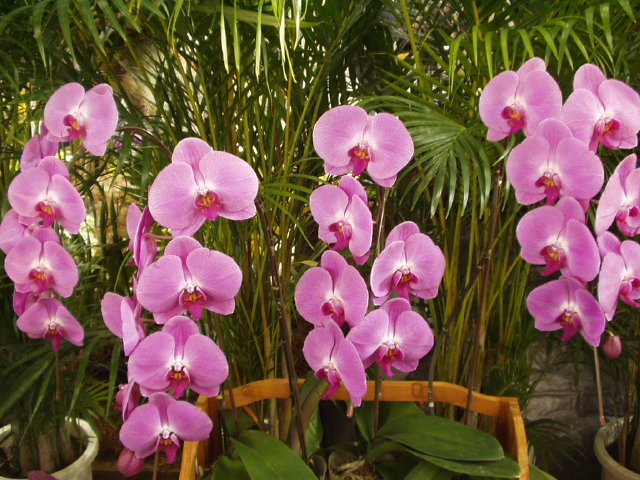 img0013.jpg