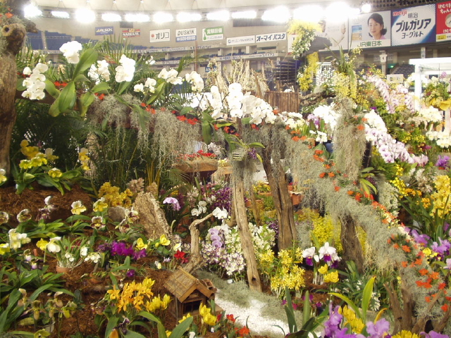img0014.jpg
