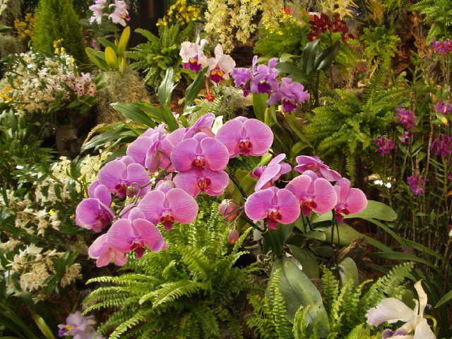 img0016.jpg