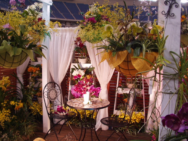img0017.jpg