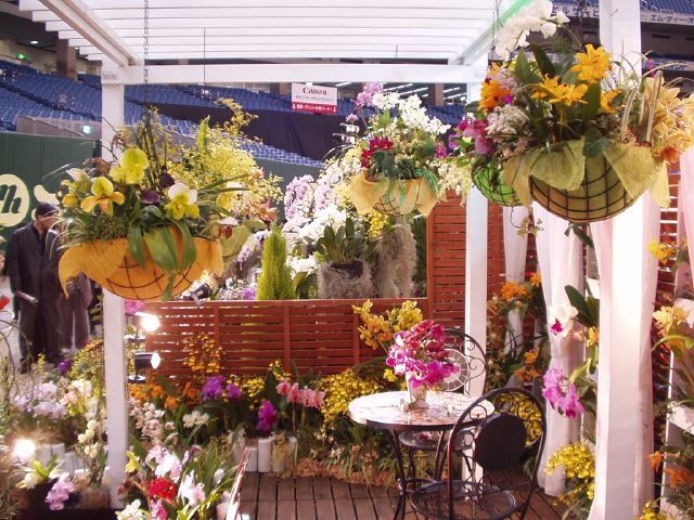 img0018.jpg