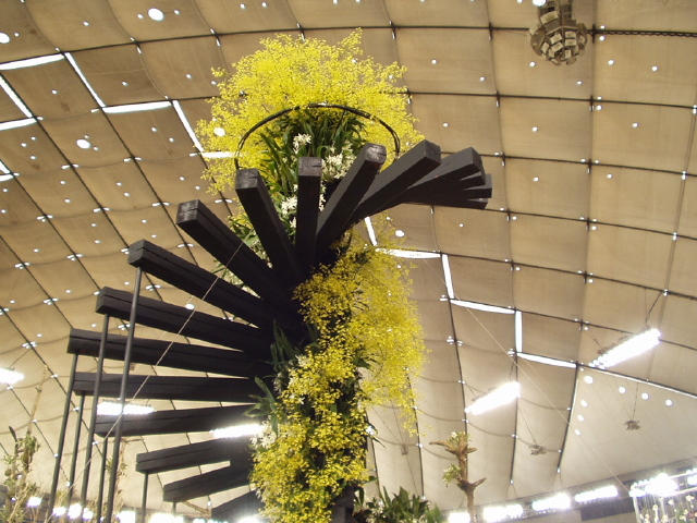img0020.jpg