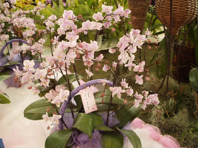 img0021.jpg