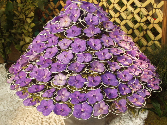 img0024.jpg