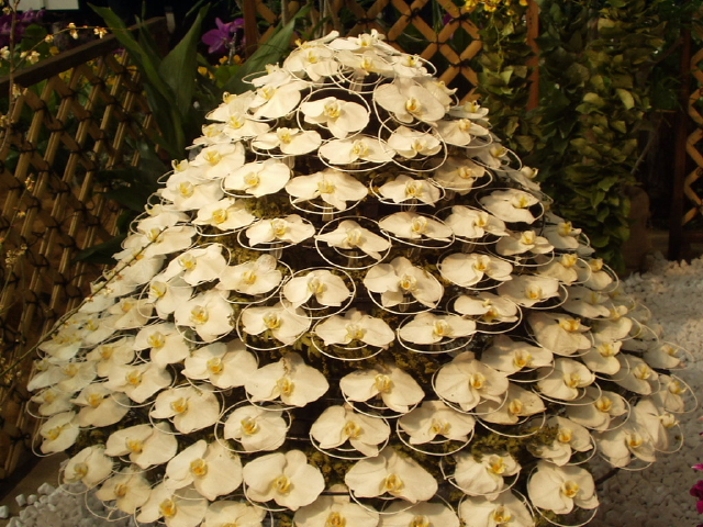 img0025.jpg