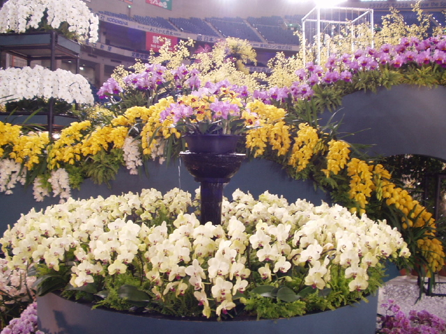 img0027.jpg