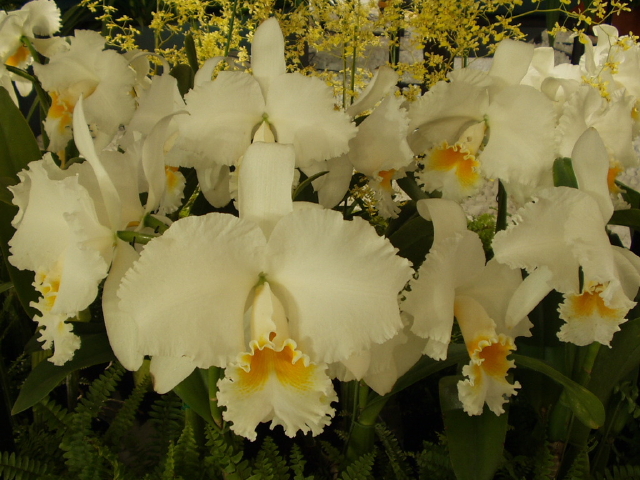 img0028.jpg