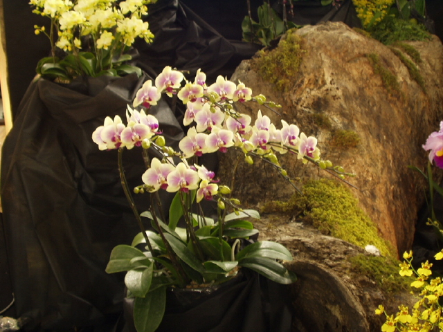 img0029.jpg