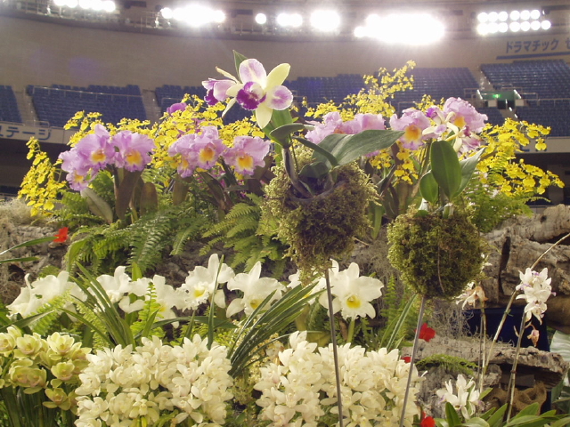 img0040.jpg