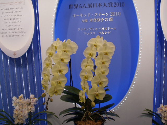 img0047.jpg
