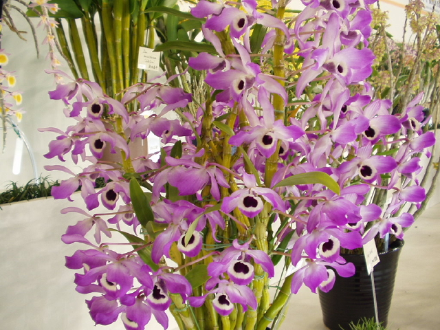 img0049.jpg