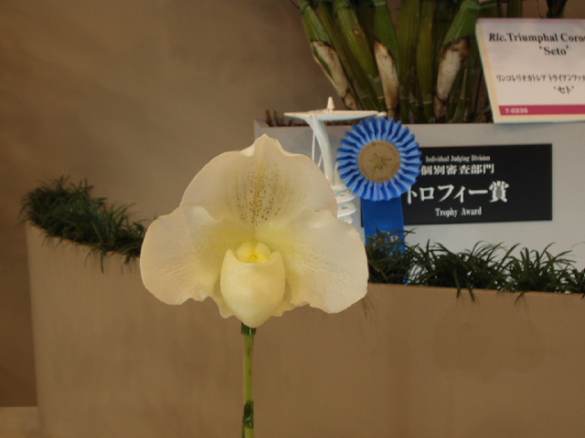 img0053.jpg