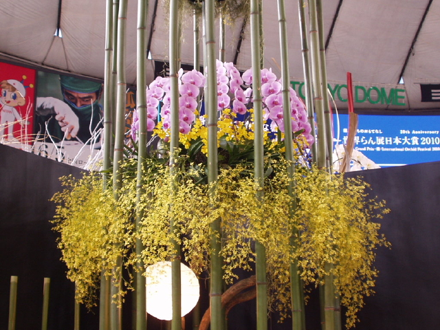 img0055.jpg
