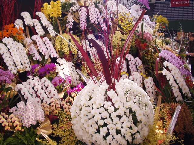 img0058.jpg