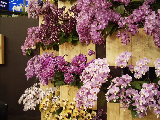 img0062.jpg