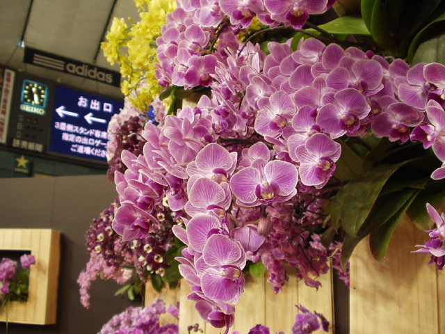 img0063.jpg