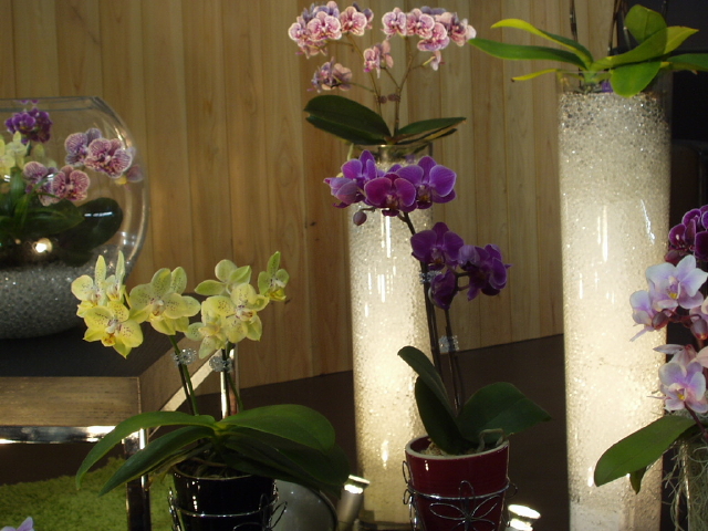 img0064.jpg