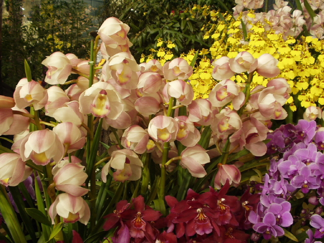 img0067.jpg