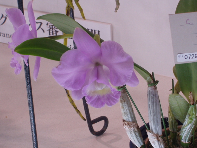 img0070.jpg