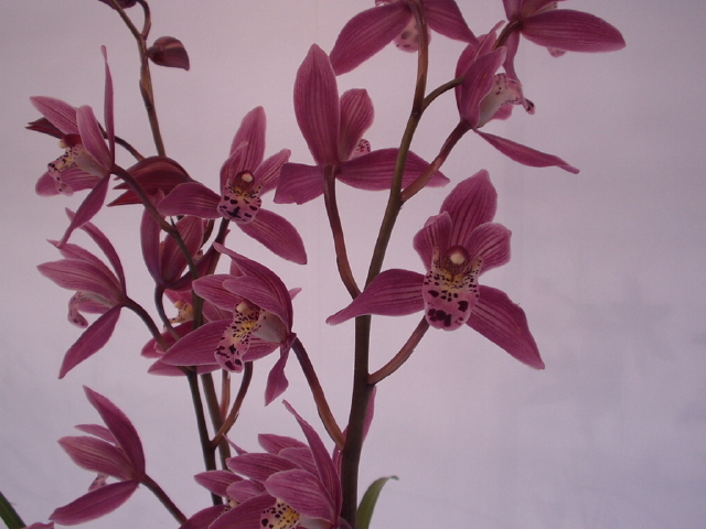 img0074.jpg