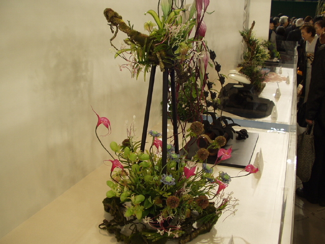 img0077.jpg