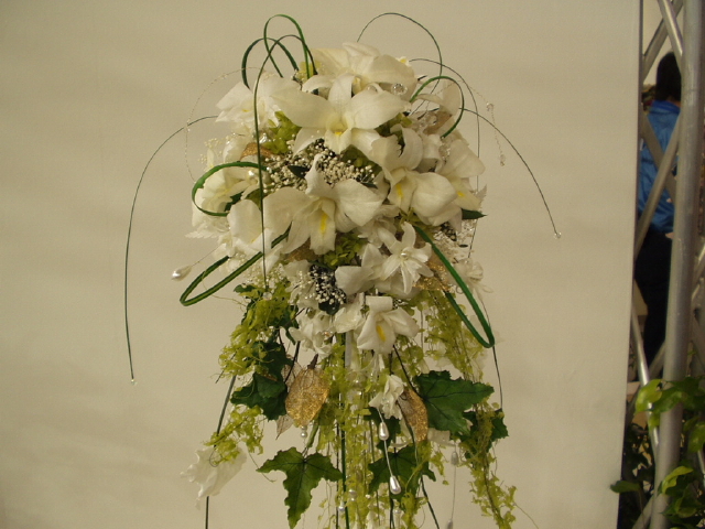 img0079.jpg