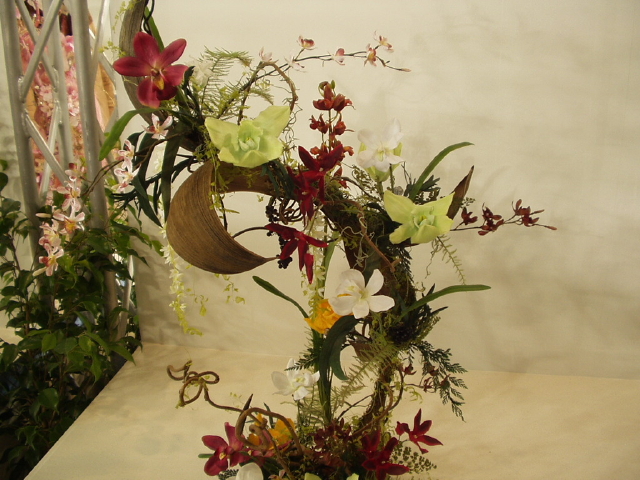 img0080.jpg