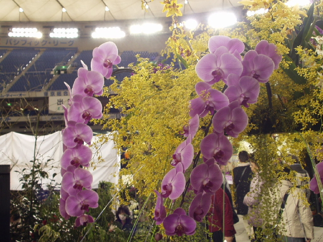 img0085.jpg