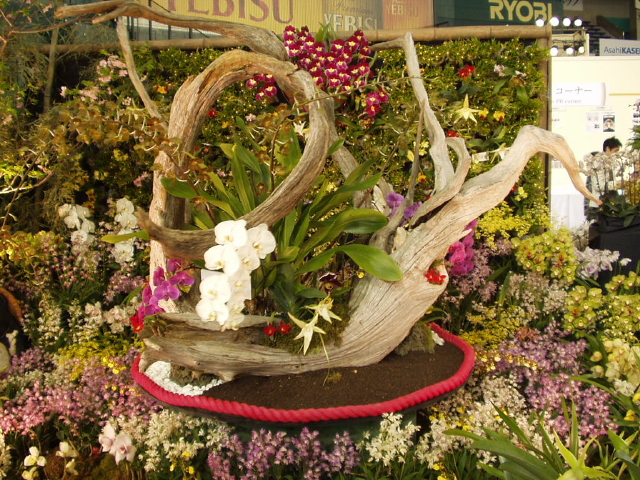 img0086.jpg