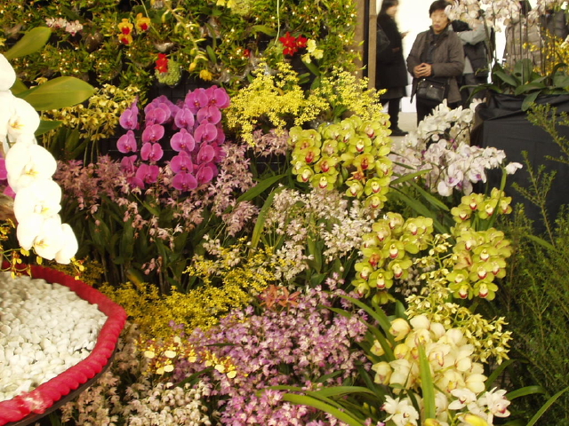 img0087.jpg