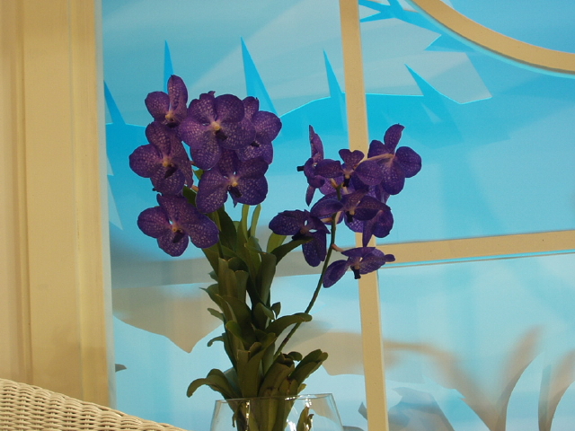 img0089.jpg