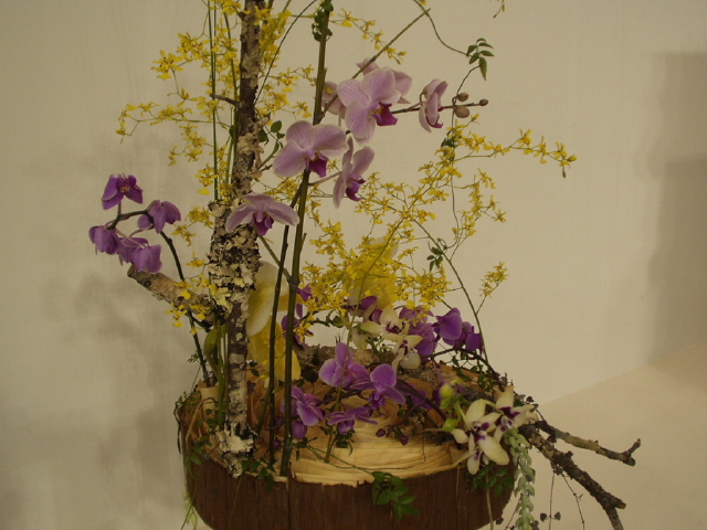 img0093.jpg