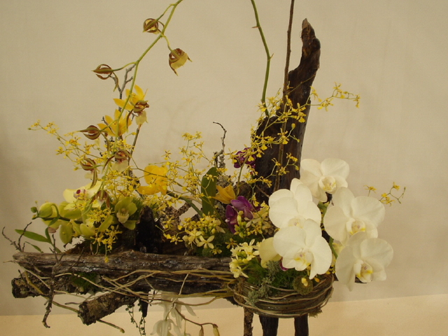 img0094.jpg