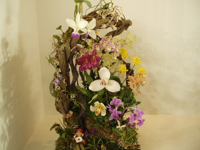 img0095.jpg