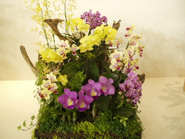 img0096.jpg