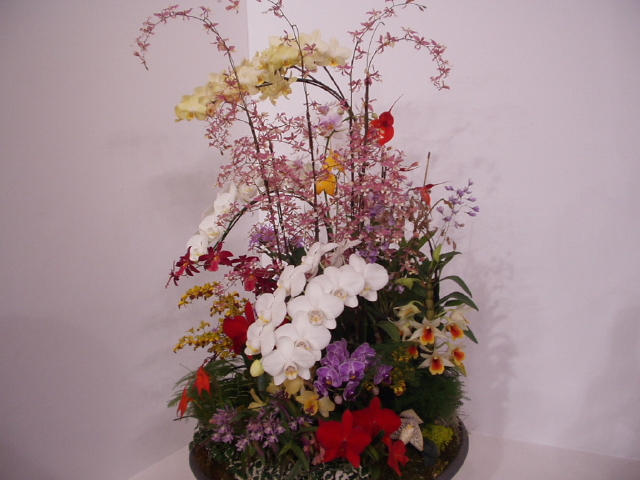 img0103.jpg