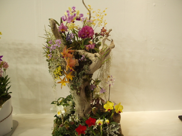 img0104.jpg
