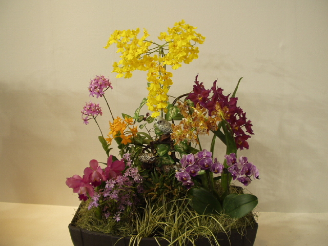 img0106.jpg