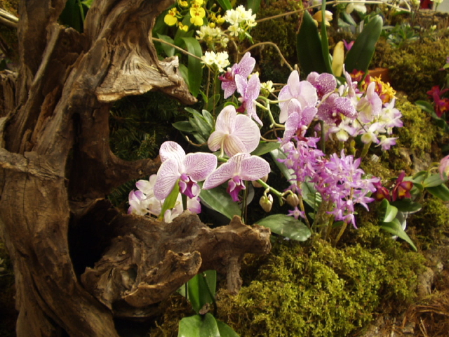 img0109.jpg