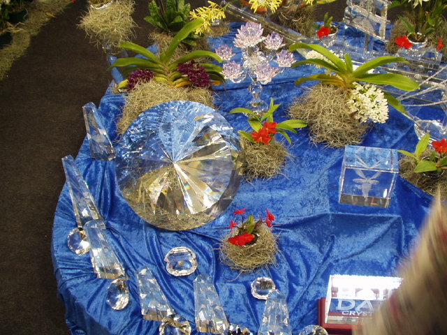 img0113.jpg
