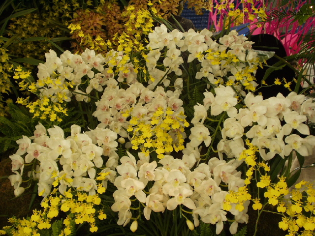 img0115.jpg