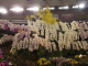img0003.jpg