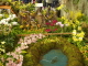 img0022.jpg