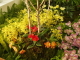 img0023.jpg