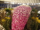 img0026.jpg